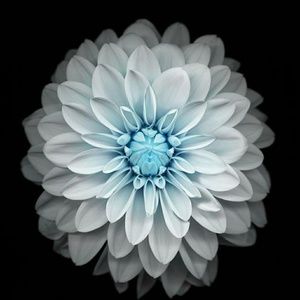 Meet your Posher, Leigh